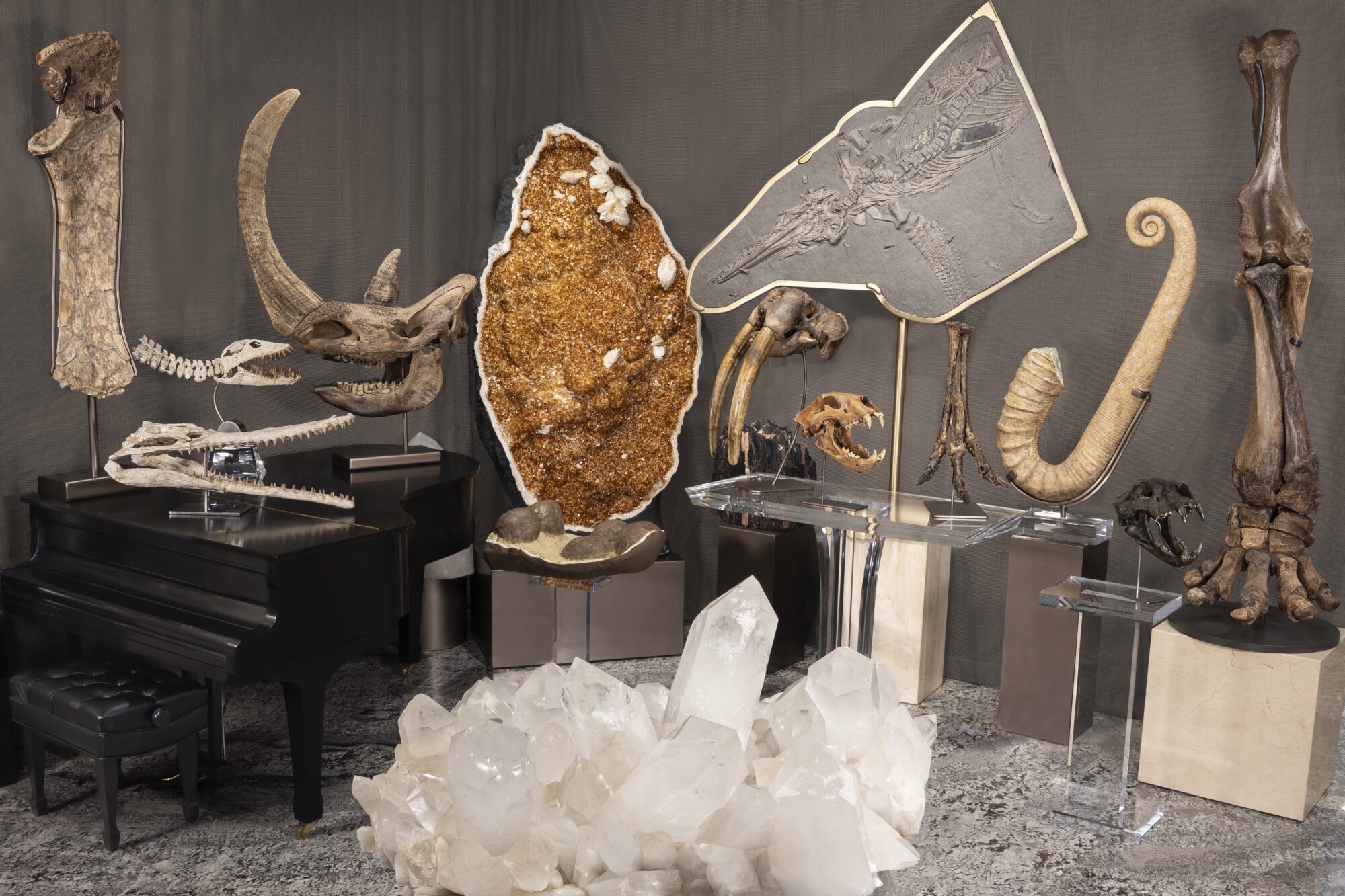 Fossil Gallery Spread